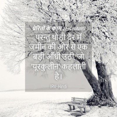 Picture 04 - प्रेरितों के काम 27:14 HINIRV - परन्तु थोड़ी देर - Bible Verse Picture