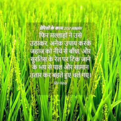 Picture 04 - प्रेरितों के काम 27:17 HINIRV - फिर मल्लाहों ने - Bible Verse Picture