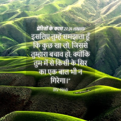 Picture 04 - प्रेरितों के काम 27:34 HINIRV - इसलिए तुम्हें - Bible Verse Picture