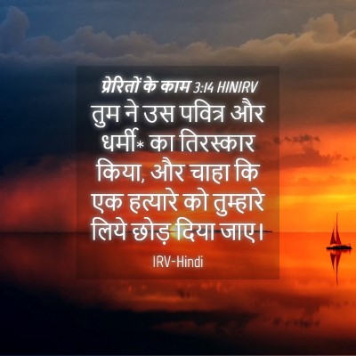Picture 04 - प्रेरितों के काम 3:14 HINIRV - तुम ने उस पवित्र और - Bible Verse Picture