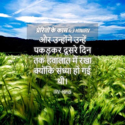 Picture 04 - प्रेरितों के काम 4:3 HINIRV - और उन्होंने - Bible Verse Picture