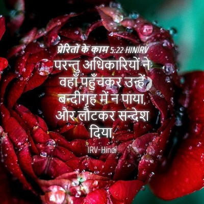 Picture 04 - प्रेरितों के काम 5:22 HINIRV - परन्तु अधिकारियों - Bible Verse Picture