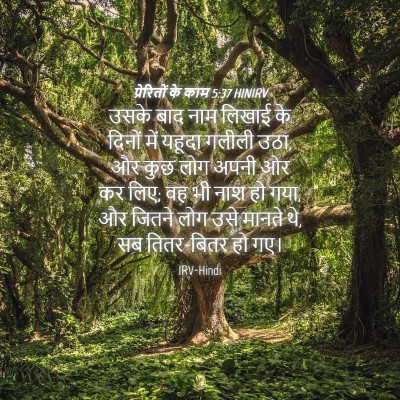 Picture 04 - प्रेरितों के काम 5:37 HINIRV - उसके बाद नाम लिखाई - Bible Verse Picture