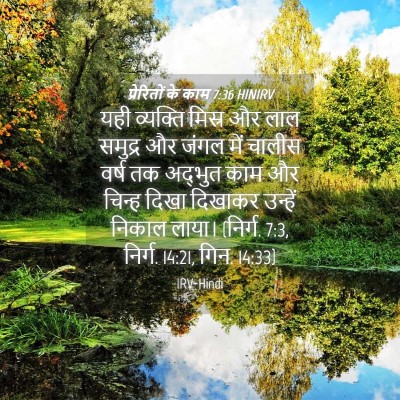 Picture 04 - प्रेरितों के काम 7:36 HINIRV - यही व्यक्ति मिस्र - Bible Verse Picture