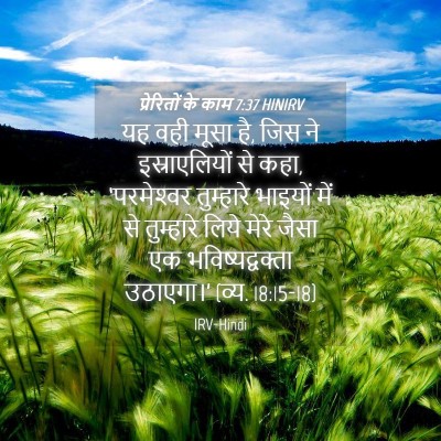 Picture 04 - प्रेरितों के काम 7:37 HINIRV - यह वही मूसा है, जिस - Bible Verse Picture