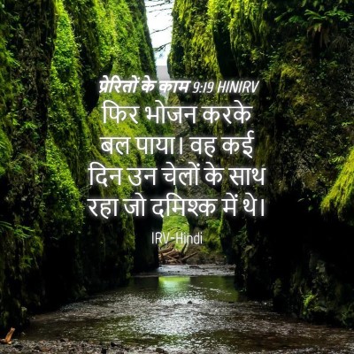 Picture 04 - प्रेरितों के काम 9:19 HINIRV - फिर भोजन करके बल - Bible Verse Picture