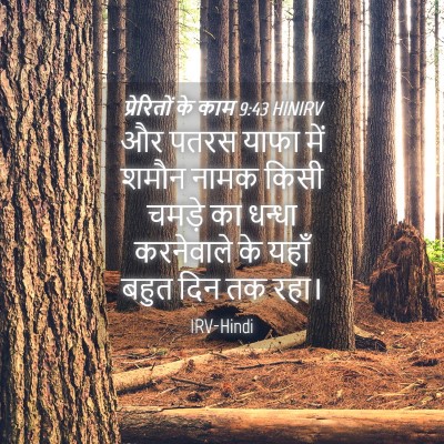 Picture 04 - प्रेरितों के काम 9:43 HINIRV - और पतरस याफा में - Bible Verse Picture