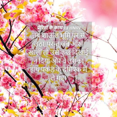 Picture 04 - प्रेरितों के काम 9:8 HINIRV - तब शाऊल भूमि पर से - Bible Verse Picture