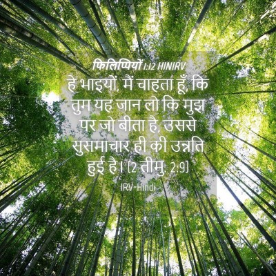 Picture 04 - फिलिप्पियों 1:12 HINIRV - हे भाइयों, मैं - Bible Verse Picture