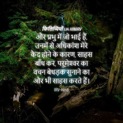 Picture 04 - फिलिप्पियों 1:14 HINIRV - और प्रभु में जो भाई - Bible Verse Picture