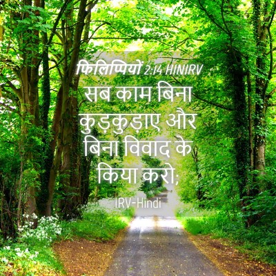 Picture 04 - फिलिप्पियों 2:14 HINIRV - सब काम बिना - Bible Verse Picture