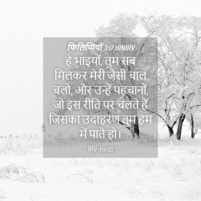 Picture 04 - फिलिप्पियों 3:17 HINIRV - हे भाइयों, तुम सब - Bible Verse Picture