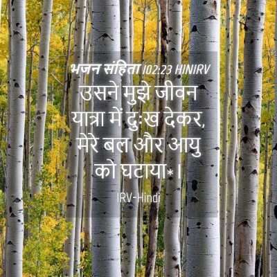 Picture 04 - भजन संहिता 102:23 HINIRV - उसने मुझे जीवन - Bible Verse Picture