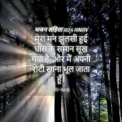 Picture 04 - भजन संहिता 102:4 HINIRV - मेरा मन झुलसी हुई - Bible Verse Picture