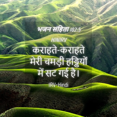 Picture 04 - भजन संहिता 102:5 HINIRV - कराहते-कराहते - Bible Verse Picture