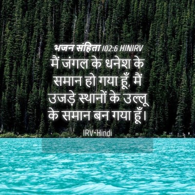 Picture 04 - भजन संहिता 102:6 HINIRV - मैं जंगल के धनेश के - Bible Verse Picture