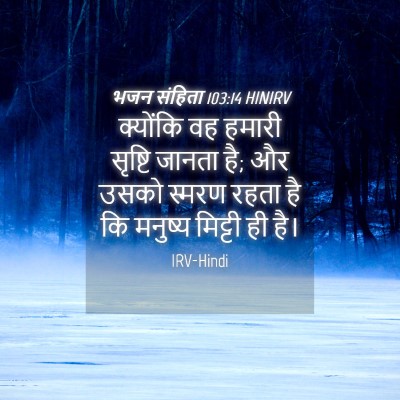 Picture 04 - भजन संहिता 103:14 HINIRV - क्योंकि वह हमारी - Bible Verse Picture