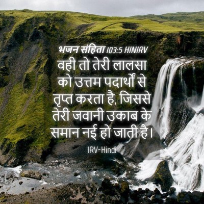 Picture 04 - भजन संहिता 103:5 HINIRV - वही तो तेरी लालसा - Bible Verse Picture