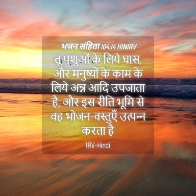 Picture 04 - भजन संहिता 104:14 HINIRV - तू पशुओं के लिये - Bible Verse Picture