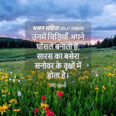 Picture 04 - भजन संहिता 104:17 HINIRV - उनमें चिड़ियाँ - Bible Verse Picture