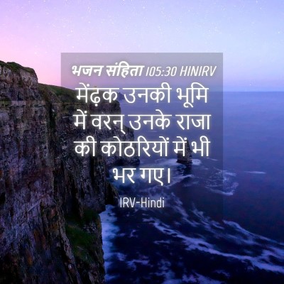 Picture 04 - भजन संहिता 105:30 HINIRV - मेंढ़क उनकी भूमि - Bible Verse Picture