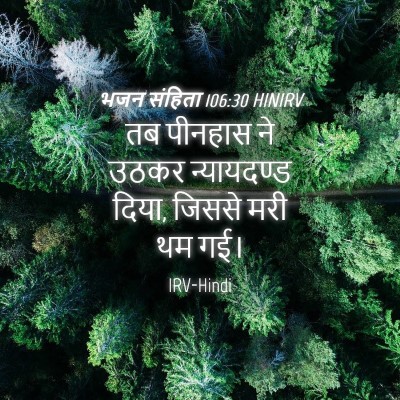 Picture 04 - भजन संहिता 106:30 HINIRV - तब पीनहास ने उठकर - Bible Verse Picture