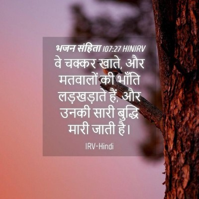 Picture 04 - भजन संहिता 107:27 HINIRV - वे चक्कर खाते, और - Bible Verse Picture