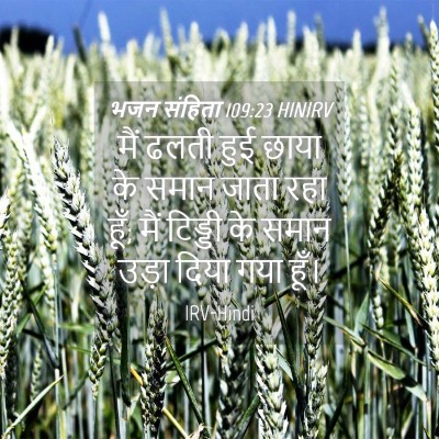 Picture 04 - भजन संहिता 109:23 HINIRV - मैं ढलती हुई छाया - Bible Verse Picture
