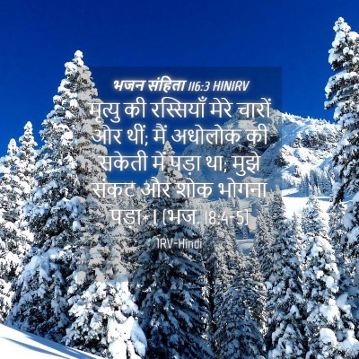Picture 04 - भजन संहिता 116:3 HINIRV - मृत्यु की - Bible Verse Picture
