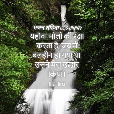 Picture 04 - भजन संहिता 116:6 HINIRV - यहोवा भोलों की - Bible Verse Picture