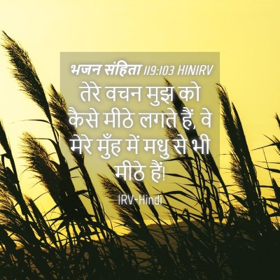 Picture 04 - भजन संहिता 119:103 HINIRV - तेरे वचन मुझ को - Bible Verse Picture