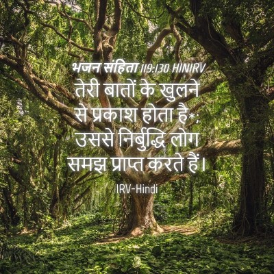 Picture 04 - भजन संहिता 119:130 HINIRV - तेरी बातों के - Bible Verse Picture