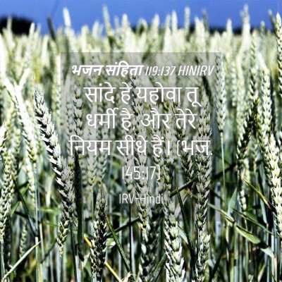 Picture 04 - भजन संहिता 119:137 HINIRV - सांदे हे यहोवा तू - Bible Verse Picture