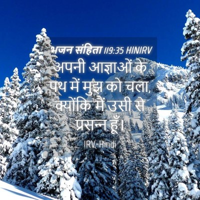 Picture 04 - भजन संहिता 119:35 HINIRV - अपनी आज्ञाओं के पथ - Bible Verse Picture