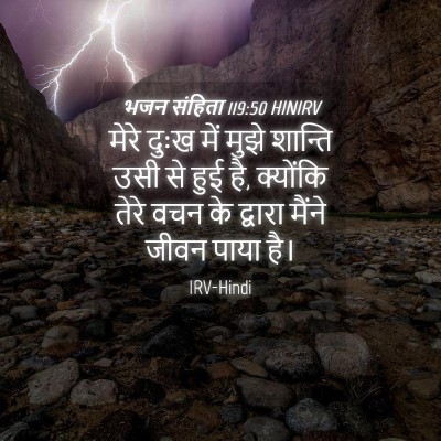 Picture 04 - भजन संहिता 119:50 HINIRV - मेरे दुःख में मुझे - Bible Verse Picture