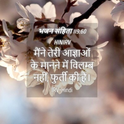 Picture 04 - भजन संहिता 119:60 HINIRV - मैंने तेरी - Bible Verse Picture