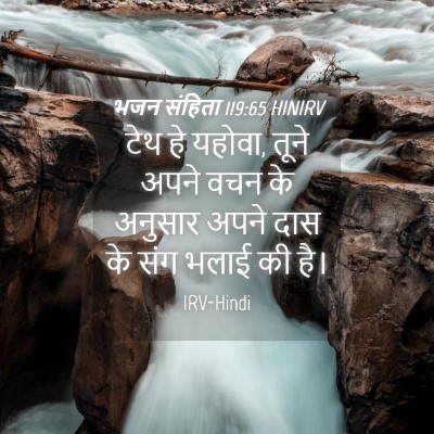 Picture 04 - भजन संहिता 119:65 HINIRV - टेथ हे यहोवा, तूने - Bible Verse Picture