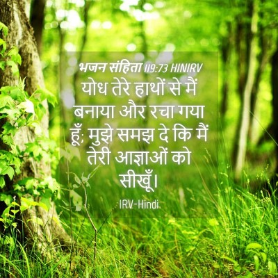 Picture 04 - भजन संहिता 119:73 HINIRV - योध तेरे हाथों से - Bible Verse Picture