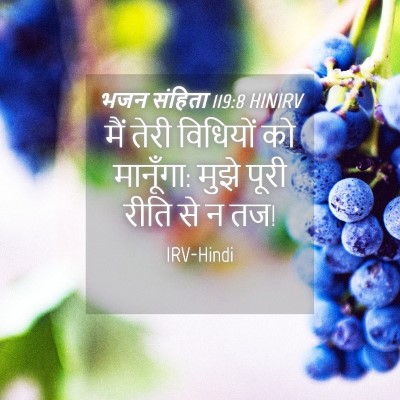 Picture 04 - भजन संहिता 119:8 HINIRV - मैं तेरी विधियों - Bible Verse Picture