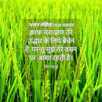 Picture 04 - भजन संहिता 119:81 HINIRV - क़ाफ मेरा प्राण - Bible Verse Picture