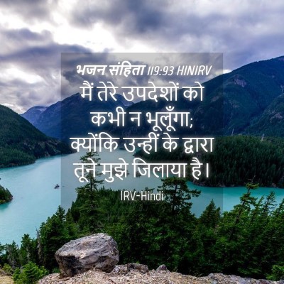 Picture 04 - भजन संहिता 119:93 HINIRV - मैं तेरे उपदेशों - Bible Verse Picture