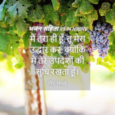 Picture 04 - भजन संहिता 119:94 HINIRV - मैं तेरा ही हूँ, तू - Bible Verse Picture