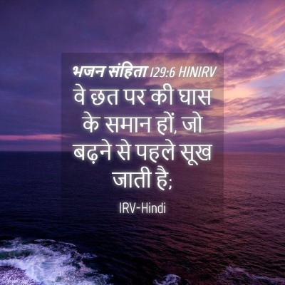 Picture 04 - भजन संहिता 129:6 HINIRV - वे छत पर की घास के - Bible Verse Picture