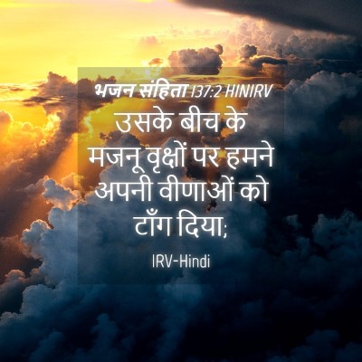 Picture 04 - भजन संहिता 137:2 HINIRV - उसके बीच के मजनू - Bible Verse Picture
