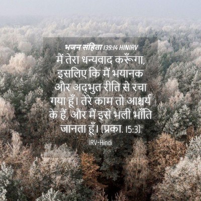Picture 04 - भजन संहिता 139:14 HINIRV - मैं तेरा धन्यवाद - Bible Verse Picture