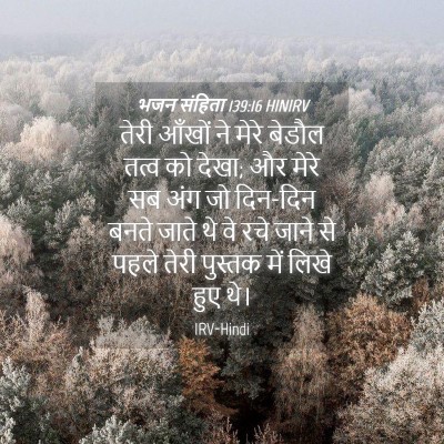 Picture 04 - भजन संहिता 139:16 HINIRV - तेरी आँखों ने मेरे - Bible Verse Picture