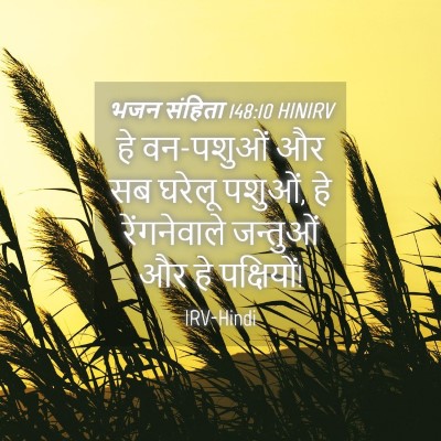 Picture 04 - भजन संहिता 148:10 HINIRV - हे वन-पशुओं और सब - Bible Verse Picture
