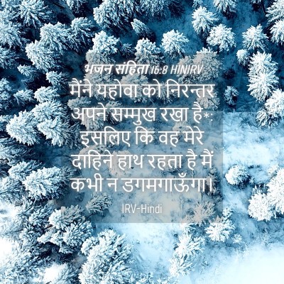 Picture 04 - भजन संहिता 16:8 HINIRV - मैंने यहोवा को - Bible Verse Picture
