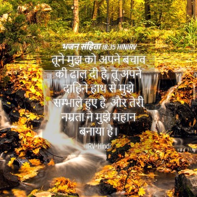 Picture 04 - भजन संहिता 18:35 HINIRV - तूने मुझ को अपने - Bible Verse Picture