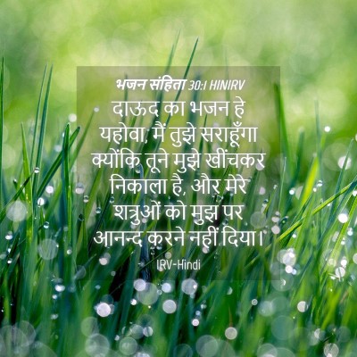 Picture 04 - भजन संहिता 30:1 HINIRV - दाऊद का भजन हे - Bible Verse Picture